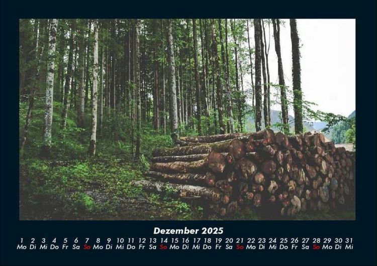 Produktbild: B&auml;ume 2025 Fotokalender DIN A4