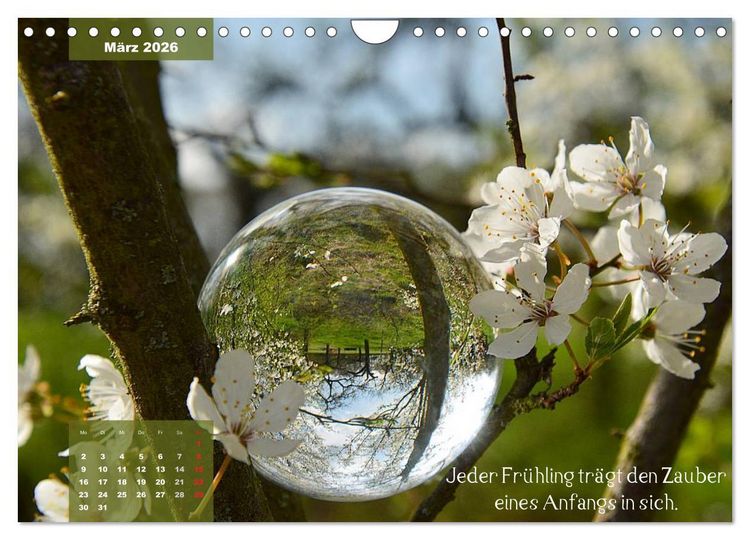 Produktbild: Die Welt in der Kugel (Wandkalender 2026 DIN A4 quer), CALVENDO Monatskalender
