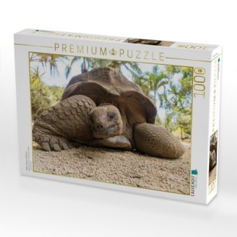 Produktbild: CALVENDO Puzzle Aldabra Riesenschildkr&ouml;te | 1000 Teile Lege-Gr&ouml;&szlig;e 64x48cm Foto-Puzzle f&uuml;r gl&uuml;ckliche Stunden