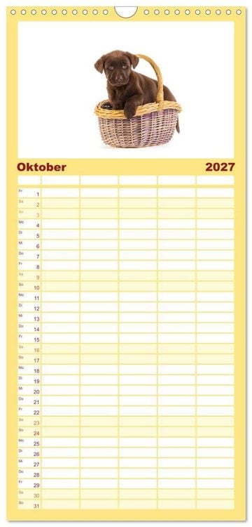 Produktbild: Familienplaner 2027 - Labrador - Welpen mit 5 Spalten (Wandkalender, 21 x 45 cm) CALVENDO