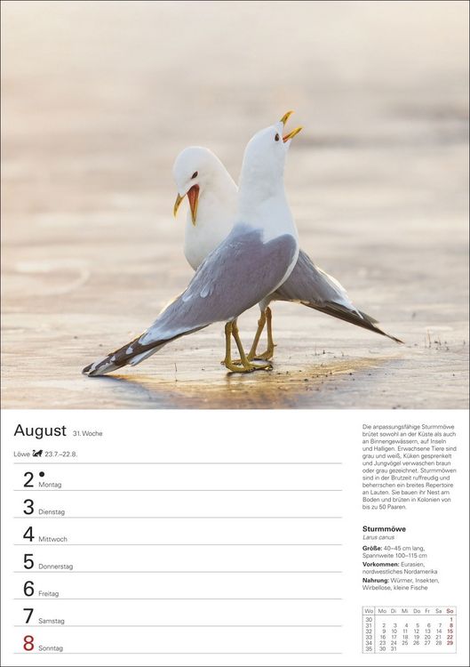 Produktbild: Heimische V&ouml;gel Wochenplaner 2027 - 53 faszinierende Fotografien