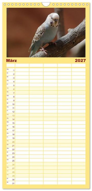 Produktbild: Familienplaner 2027 - Wellensittiche - Gefiederte Freunde mit 5 Spalten (Wandkalender, 21 x 45 cm) CALVENDO