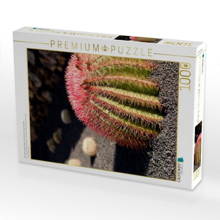 Produktbild: CALVENDO Puzzle Sonnenhungriger Kaktus mit h&uuml;bschen roten Stacheln | 1000 Teile Lege-Gr&ouml;&szlig;e 64x48cm Foto-Puzzle f&uuml;r gl&uuml;ckliche Stunden
