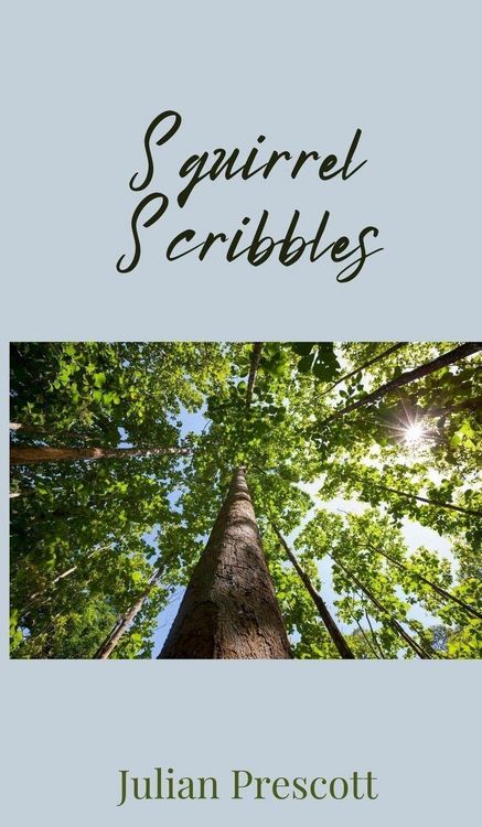 Produktbild: Squirrel Scribbles