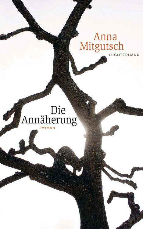Produktbild: Die Ann&auml;herung