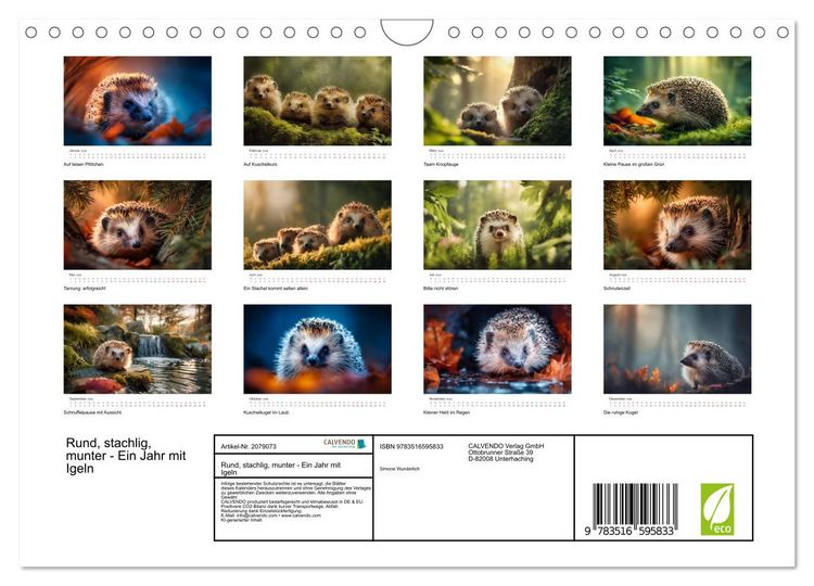Produktbild: Rund, stachlig, munter - Ein Jahr mit Igeln (Wandkalender 2026 DIN A4 quer), CALVENDO Monatskalender