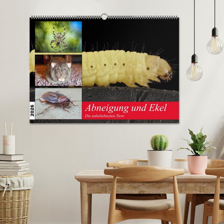 Produktbild: Abneigung und Ekel. Die unbeliebtesten Tiere (Wandkalender 2026 DIN A2 quer), CALVENDO Monatskalender