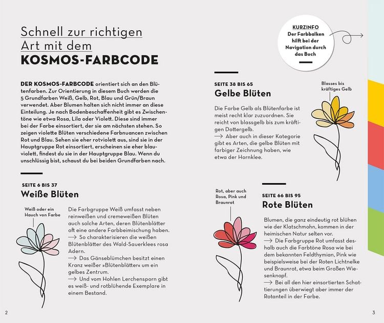 Produktbild: Basic Blumen