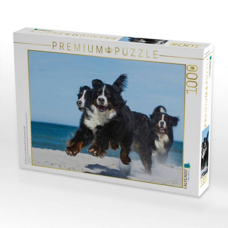Produktbild: CALVENDO Puzzle Ein Motiv aus dem Kalender Berner Sennenhund 2017 | 1000 Teile Lege-Gr&ouml;&szlig;e 64x48cm Foto-Puzzle f&uuml;r gl&uuml;ckliche Stunden