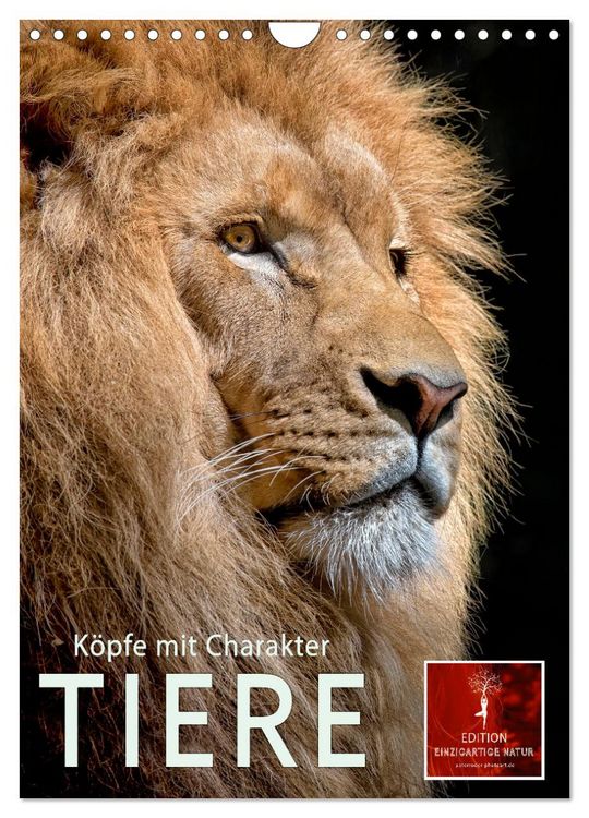 Produktbild: Tiere - K&ouml;pfe mit Charakter (Wandkalender 2026 DIN A4 hoch), CALVENDO Monatskalender
