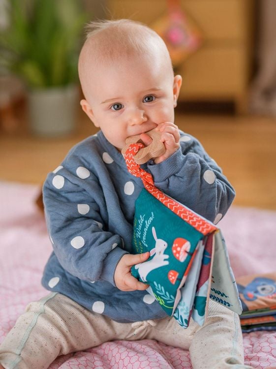 Produktbild: Mein Bei&szlig;ring-Kuschelbuch: Waldfreunde (F&uuml;hlen&begreifen)