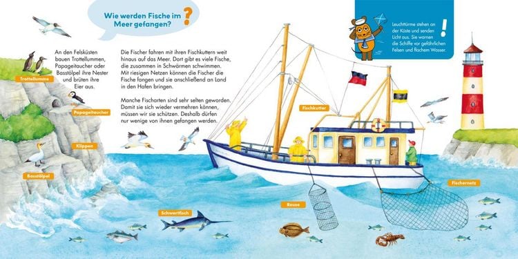 Produktbild: Frag doch mal ... die Maus: Am Meer