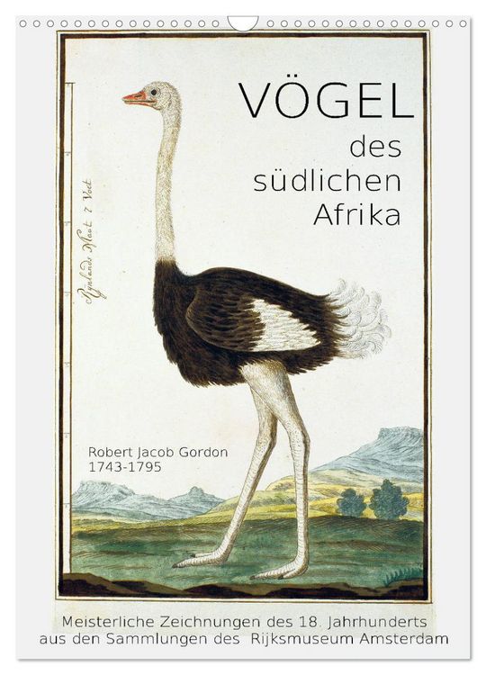 Produktbild: V&ouml;gel des s&uuml;dlichen Afrika (Wandkalender 2026 DIN A3 hoch), CALVENDO Monatskalender