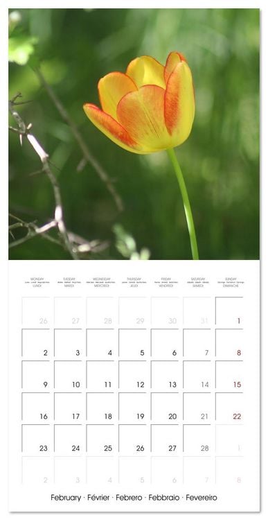 Produktbild: ENCHANTING FLOWERS (Wall Calendar 2026 12 &times; 12 Inch) CALVENDO 12 Month Wall Calendar