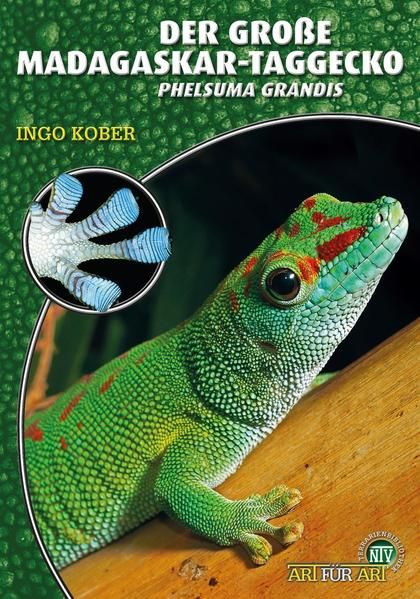 Produktbild: Der Gro&szlig;e Madagaskar-Taggecko