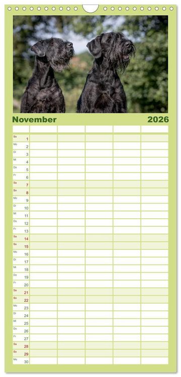 Produktbild: Familienplaner 2026 - Schnauzer... von Zwergen und Riesen 2026 mit 5 Spalten (Wandkalender, 21 x 45 cm) CALVENDO