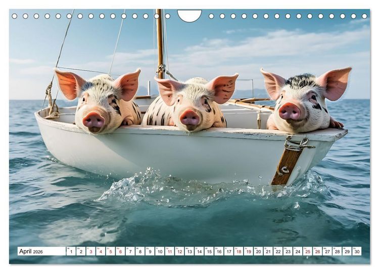 Produktbild: Schwimmende Schweine im Paradies (Wandkalender 2026 DIN A4 quer), CALVENDO Monatskalender