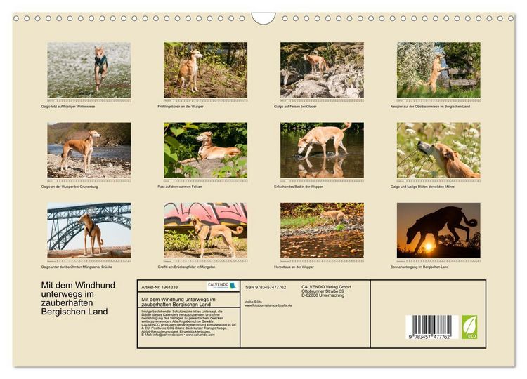 Produktbild: Mit dem Windhund unterwegs im zauberhaften Bergischen Land (Wandkalender 2026 DIN A3 quer), CALVENDO Monatskalender