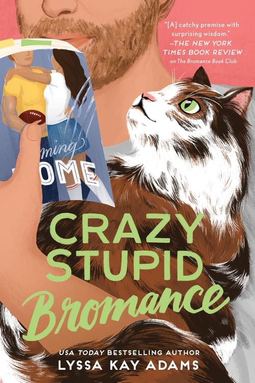 Produktbild: Crazy Stupid Bromance