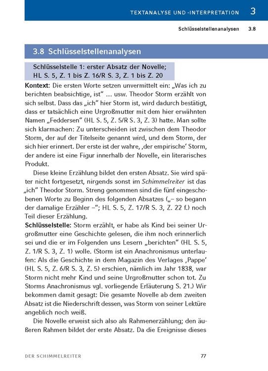 Produktbild: Der Schimmelreiter von Theodor Storm