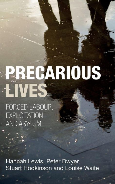 Produktbild: Precarious lives