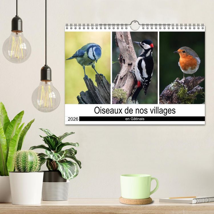 Produktbild: Oiseaux de nos villages en G&acirc;tinais (Calendrier mural 2026 DIN A4 vertical), CALVENDO calendrier mensuel