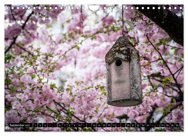 Produktbild: Fr&uuml;hlingsbl&uuml;her - Farbenpracht nach dem Winter (Wandkalender 2027 DIN A4 quer), CALVENDO Monatskalender