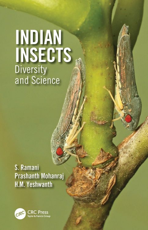 Produktbild: Indian Insects