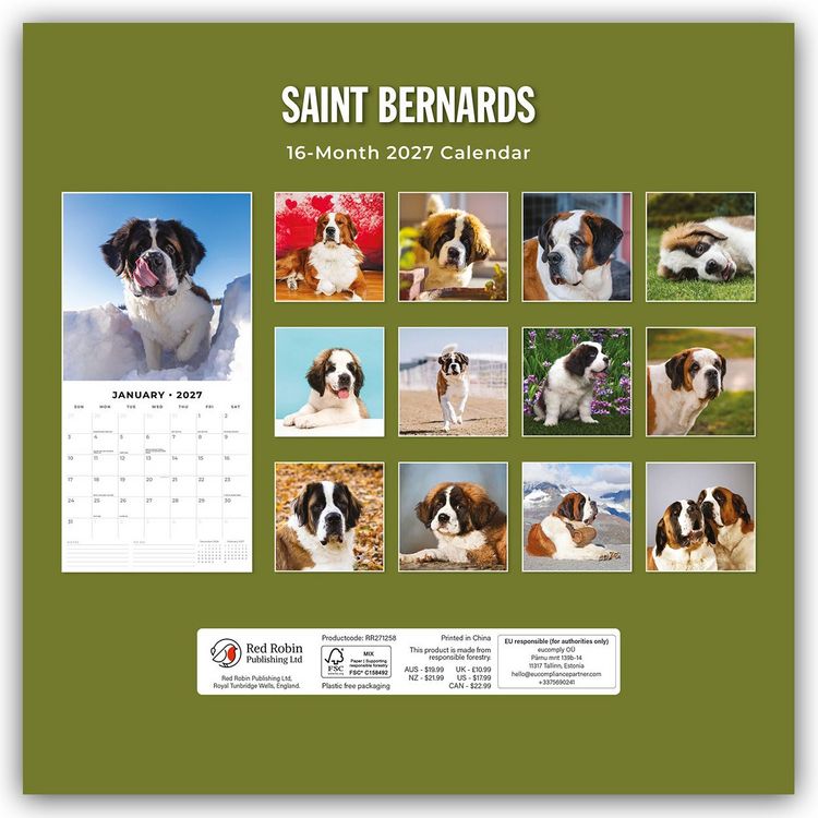 Produktbild: Saint Bernards &ndash; Bernhardiner 2027 &ndash; 16-Monatskalender