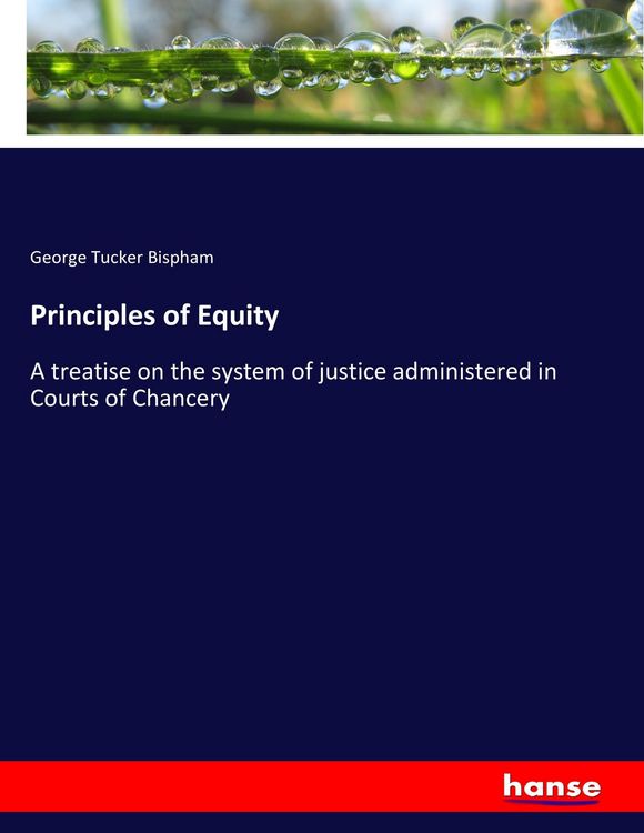 Produktbild: Principles of Equity