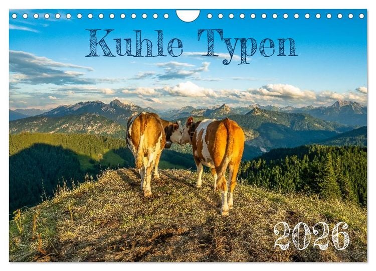 Produktbild: Kuhle Typen (Wandkalender 2026 DIN A4 quer), CALVENDO Monatskalender