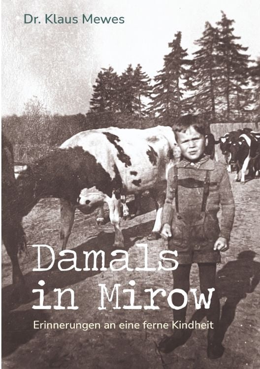 Produktbild: Damals in Mirow