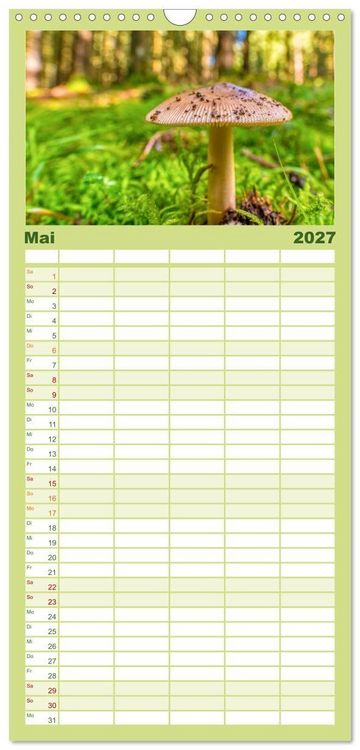 Produktbild: Familienplaner 2027 - Vielfalt am Waldboden mit 5 Spalten (Wandkalender, 21 x 45 cm) CALVENDO