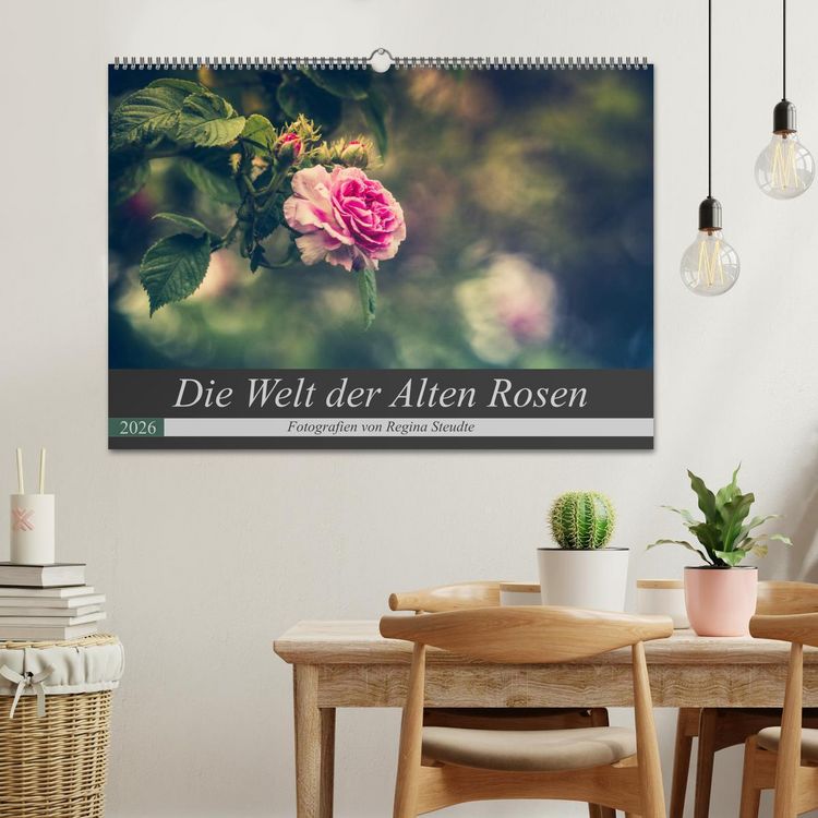 Produktbild: Die Welt der Alten Rosen (Wandkalender 2026 DIN A2 quer), CALVENDO Monatskalender