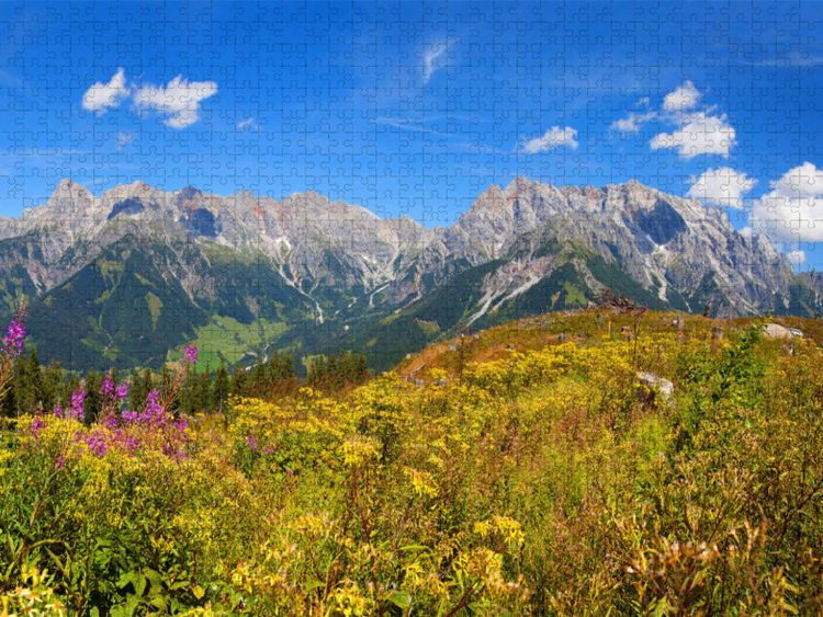Produktbild: CALVENDO Puzzle Sch&ouml;ne Blumenwiese auf der Steinbockalm | 2000 Teile Lege-Gr&ouml;&szlig;e 90x67cm Foto-Puzzle f&uuml;r gl&uuml;ckliche Stunden