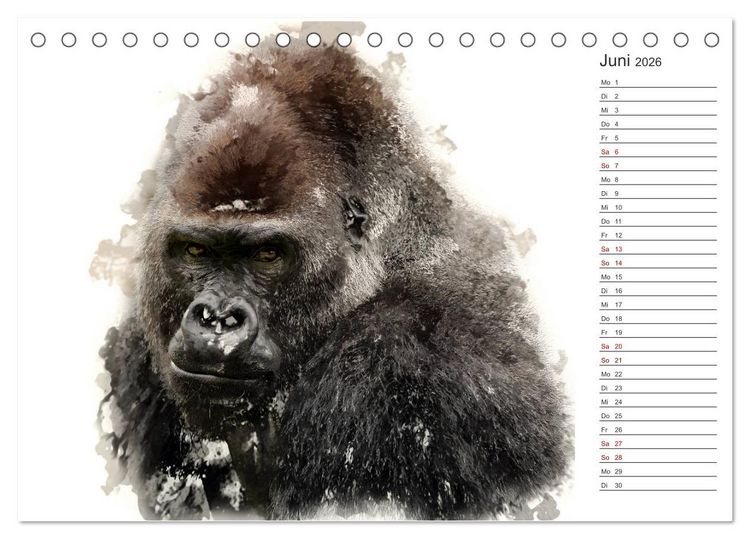 Produktbild: Tierportraits - Fine Art (Tischkalender 2026 DIN A5 quer), CALVENDO Monatskalender