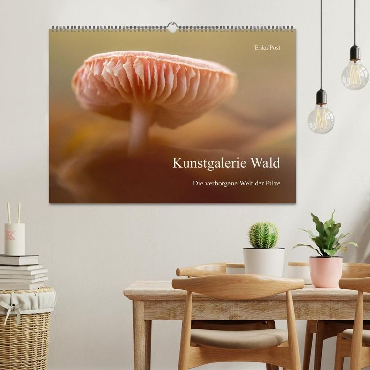 Produktbild: Kunstgalerie Wald - die verborgene Welt der Pilze (Wandkalender 2027 DIN A2 quer), CALVENDO Monatskalender