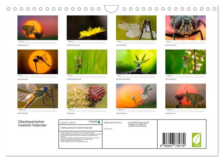 Produktbild: Oberbayerischer Insekten Kalender (Wandkalender 2026 DIN A4 quer), CALVENDO Monatskalender