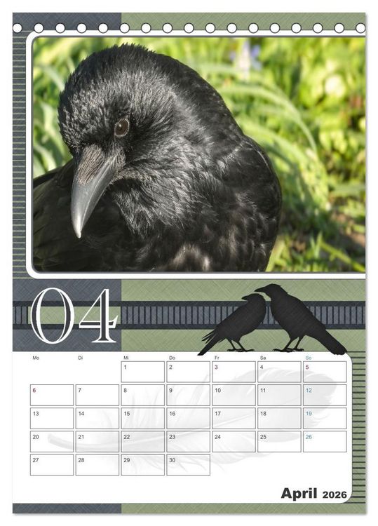 Produktbild: Kr&auml;hen - Clever notiert! Mit K&ouml;pfchen durchs ganze Jahr (Tischkalender 2026 DIN A5 hoch), CALVENDO Monatskalender