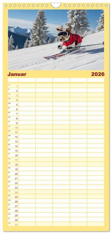 Produktbild: Familienplaner 2026 - Jack Russel Active mit 5 Spalten (Wandkalender, 21 x 45 cm) CALVENDO