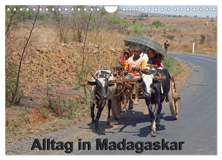 Produktbild: Alltag in Madagaskar (Wandkalender 2026 DIN A4 quer), CALVENDO Monatskalender