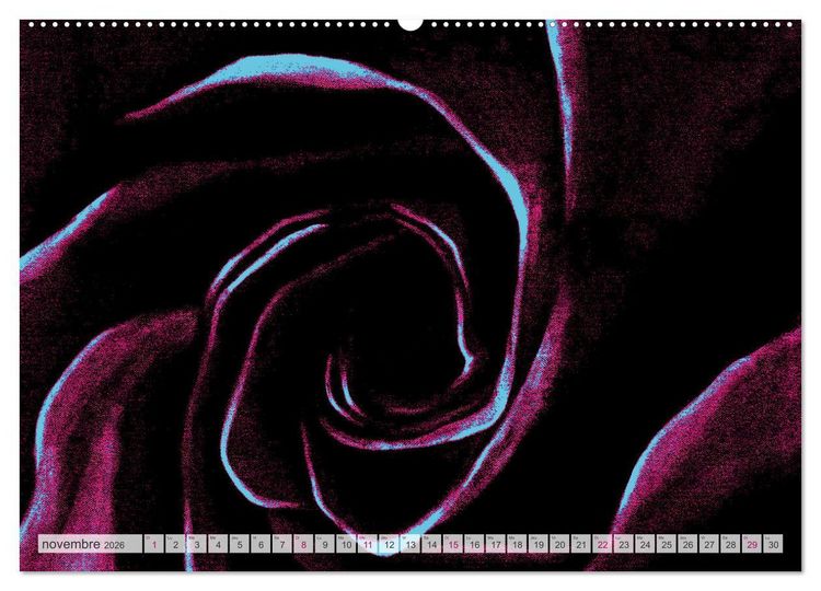 Produktbild: Roses peintes (Calendrier mural 2026 DIN A2 vertical), CALVENDO calendrier mensuel