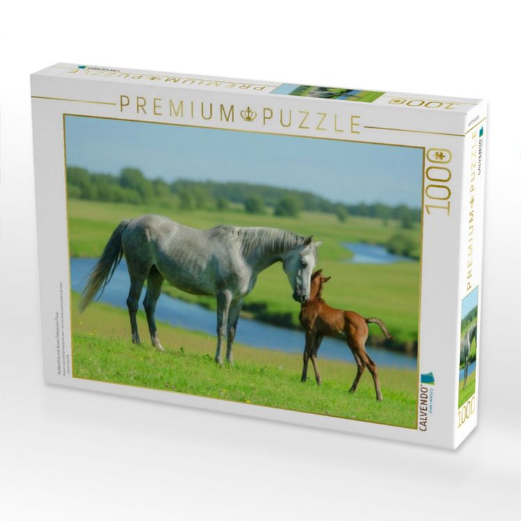 Produktbild: CALVENDO Puzzle Araberstute mit ihrem Fohlen am Fluss | 1000 Teile Lege-Gr&ouml;&szlig;e 64x48cm Foto-Puzzle f&uuml;r gl&uuml;ckliche Stunden