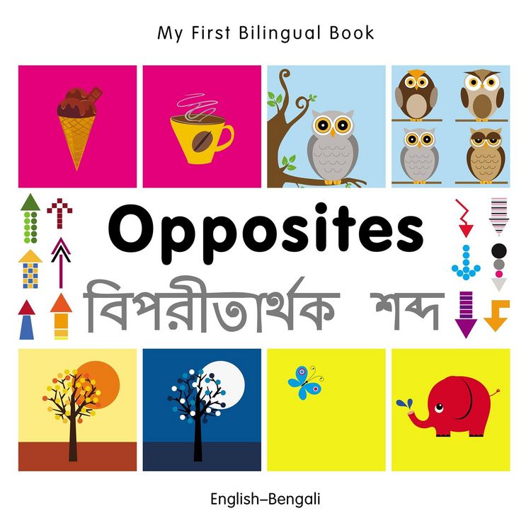 Produktbild: My First Bilingual Book-Opposites (English-Bengali)