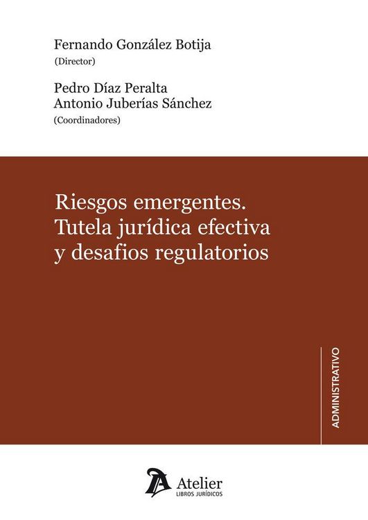 Produktbild: Riesgos Emergentes Tutela Juridica Efectiva Y Desafios Regulatorios
