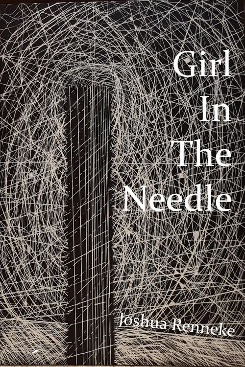 Produktbild: Girl In The Needle