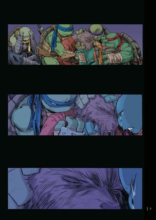 Produktbild: Teenage Mutant Ninja Turtles Splitter Collection 14