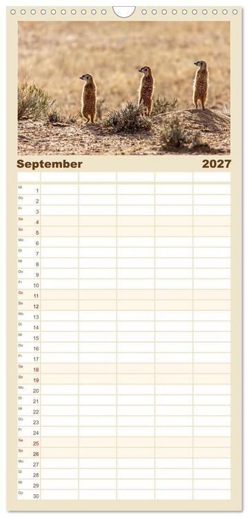 Produktbild: Familienplaner 2027 - Namibias faszinierende Tierwelt mit 5 Spalten (Wandkalender, 21 x 45 cm) CALVENDO