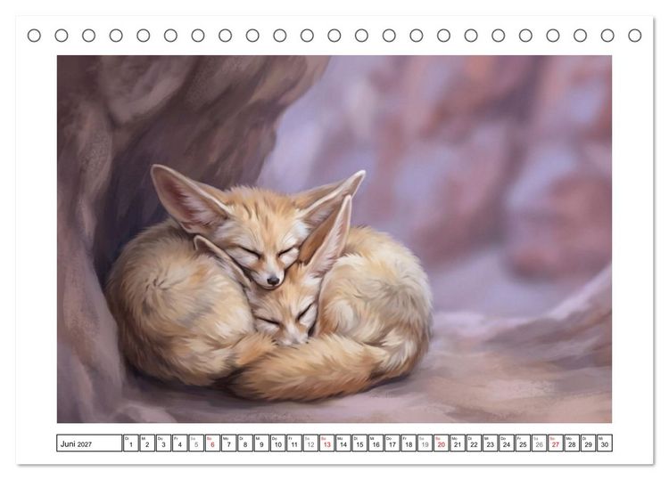 Produktbild: Fenneks - Neugierige Momente in der W&uuml;ste (Tischkalender 2027 DIN A5 quer), CALVENDO Monatskalender