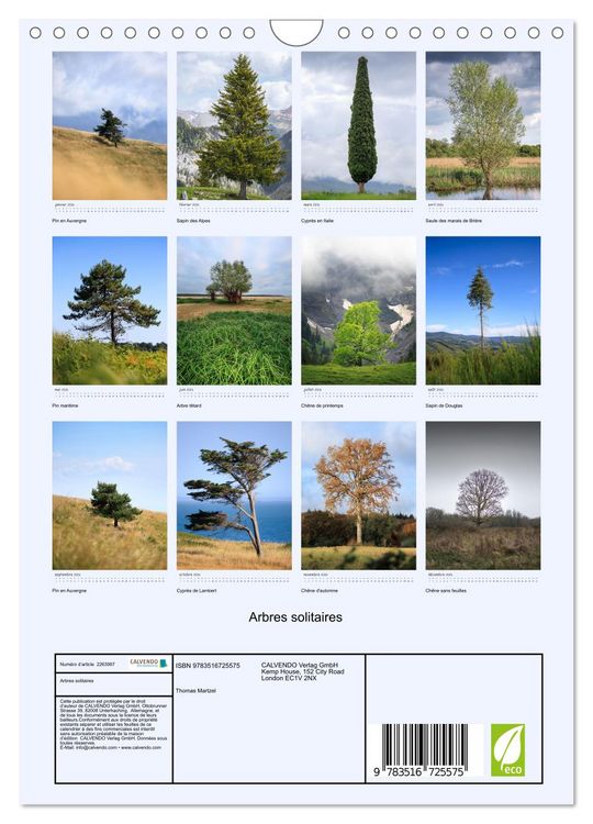 Produktbild: Arbres solitaires (Calendrier mural 2026 DIN A4 horizontal), CALVENDO calendrier mensuel